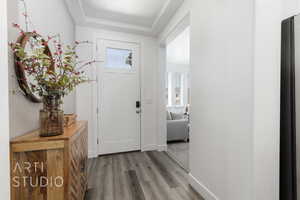 Foyer entrance with light wood finished floors, plenty of natural light, and a tray ceiling
