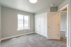 Unfurnished bedroom with carpet floors, a mountain view, and a closet