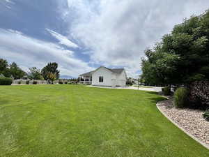 View of grassy yard