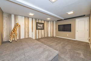 Theater room in basement.