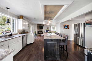 Kitchen featuring appliances with stainless steel finishes, a tray ceiling, a breakfast bar, dark wood-style flooring, and white cabinetry