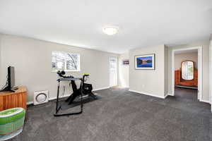 Basement Family room with walk out basement.