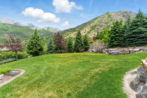 View of green lawn with a mountain view