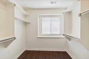 Walk in closet featuring dark wood-style flooring