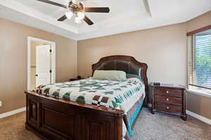 Bedroom with carpet flooring, a tray ceiling, and multiple windows