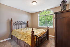 Bedroom with carpet and baseboards