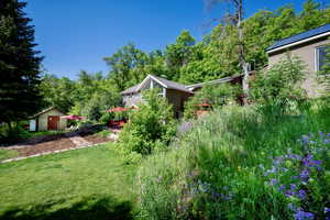 View of grassy yard with a shed and view of wooded area