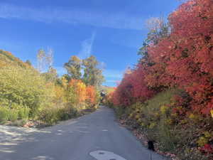 View of asphalt road featuring a wooded view
