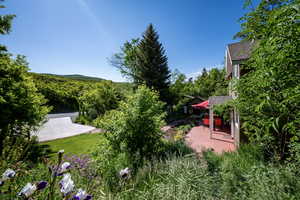 View of yard featuring a patio