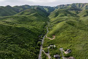 View of mountain background featuring a heavily wooded area