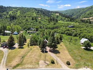 Drone / aerial view of a heavily wooded area and mountains
