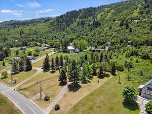 Drone / aerial view of a forest