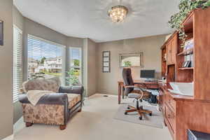 Home office with carpet flooring and a textured ceiling