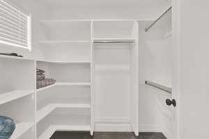 Walk in closet featuring carpet