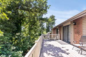 Back deck with storage shed