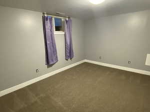 Basement Bedroom