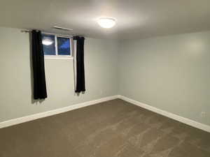 Basement Bedroom