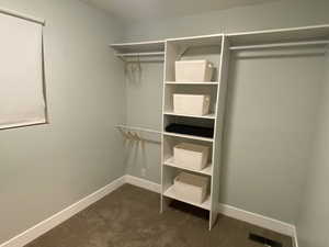 Spacious Primary Closet