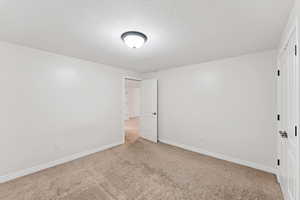 Unfurnished room featuring light colored carpet and a textured ceiling