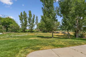 View of green lawn