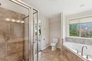 Full bath with a garden tub, a shower stall, and plenty of natural light