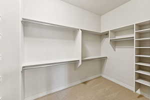 Spacious closet featuring carpet