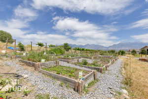 Community garden