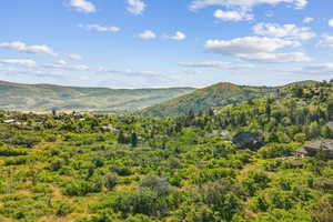 Mountain view featuring a forest