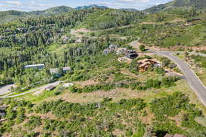 Aerial overview of property's location featuring mountains and a forest
