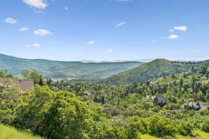 Mountain view