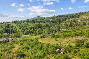 View of mountain background with a heavily wooded area