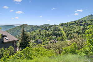 Mountain view