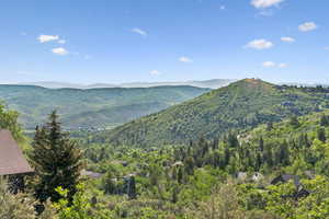 Mountain view with a forest