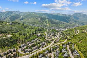 Aerial view of a mountain backdrop and a forest