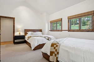 Carpeted bedroom featuring high vaulted ceiling
