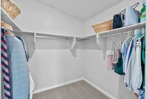 Primary Spacious closet featuring carpet flooring