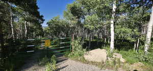 Gate at entry of possible driveway or land access to your lot.