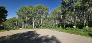 Cul-de-sac view to lot C43