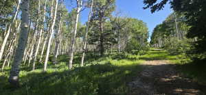 Old gravel construction road on lot for your own use