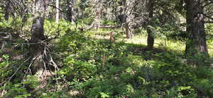 Southeast surveyed marker