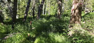 Northeast surveyed marker