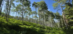 Inside lot below Meadow.