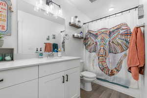 Full bathroom featuring vanity, wood finished floors, and curtained shower