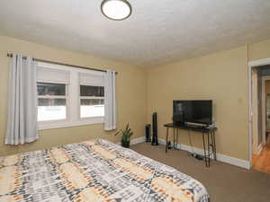 Carpeted bedroom featuring baseboards and a textured ceiling