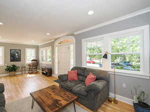 Living area with light wood-style floors, ornamental molding, and recessed lighting