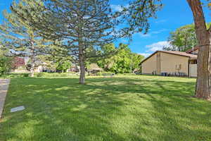 View of grassy yard