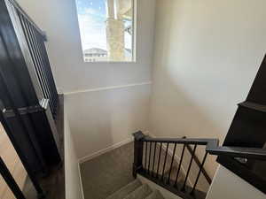Stairs with carpet flooring
