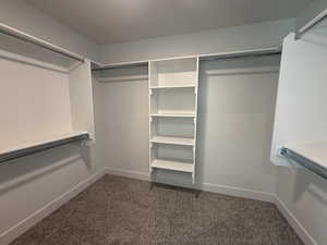 Walk in closet featuring dark colored carpet