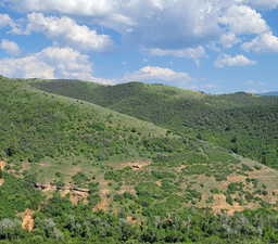 View of mountain background with a forest