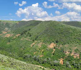 View of mountain background with a forest